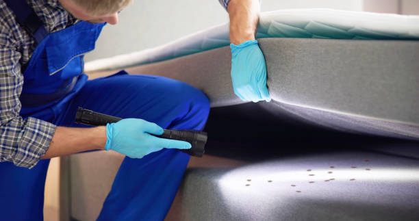 Best Local Pest Control Services  in Manchester, MO