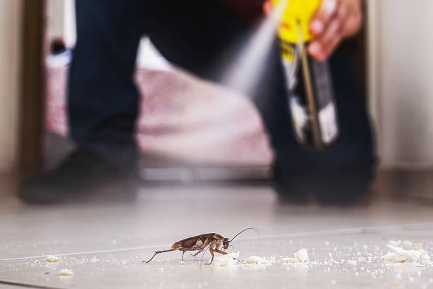 Best Pest Control Near Me  in Manchester, MO